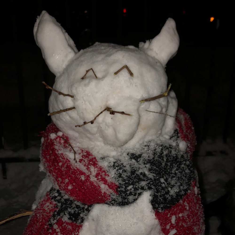 Meet your Posher, Charity